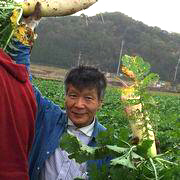 河村能夫